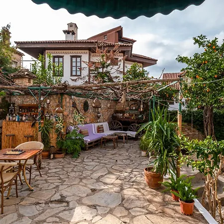 Hotel Tulipan