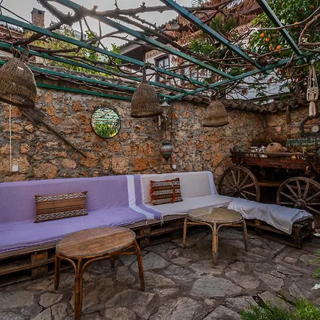 Hotel Tulipan